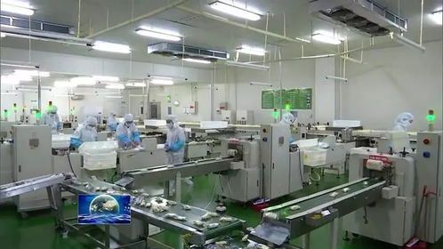 河南多措并舉促返崗助企業(yè)復工復產 保就業(yè)大局穩(wěn)定與飼料生產保障