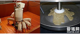 仔豬自動化稀飼料制作系統(tǒng) 飼料生產的高效解決方案
